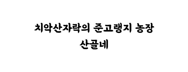 회사소개